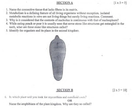 Cbse Class 11 Biology Sample Paper Set 4